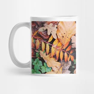 Autumnal leaf collection 1 Mug